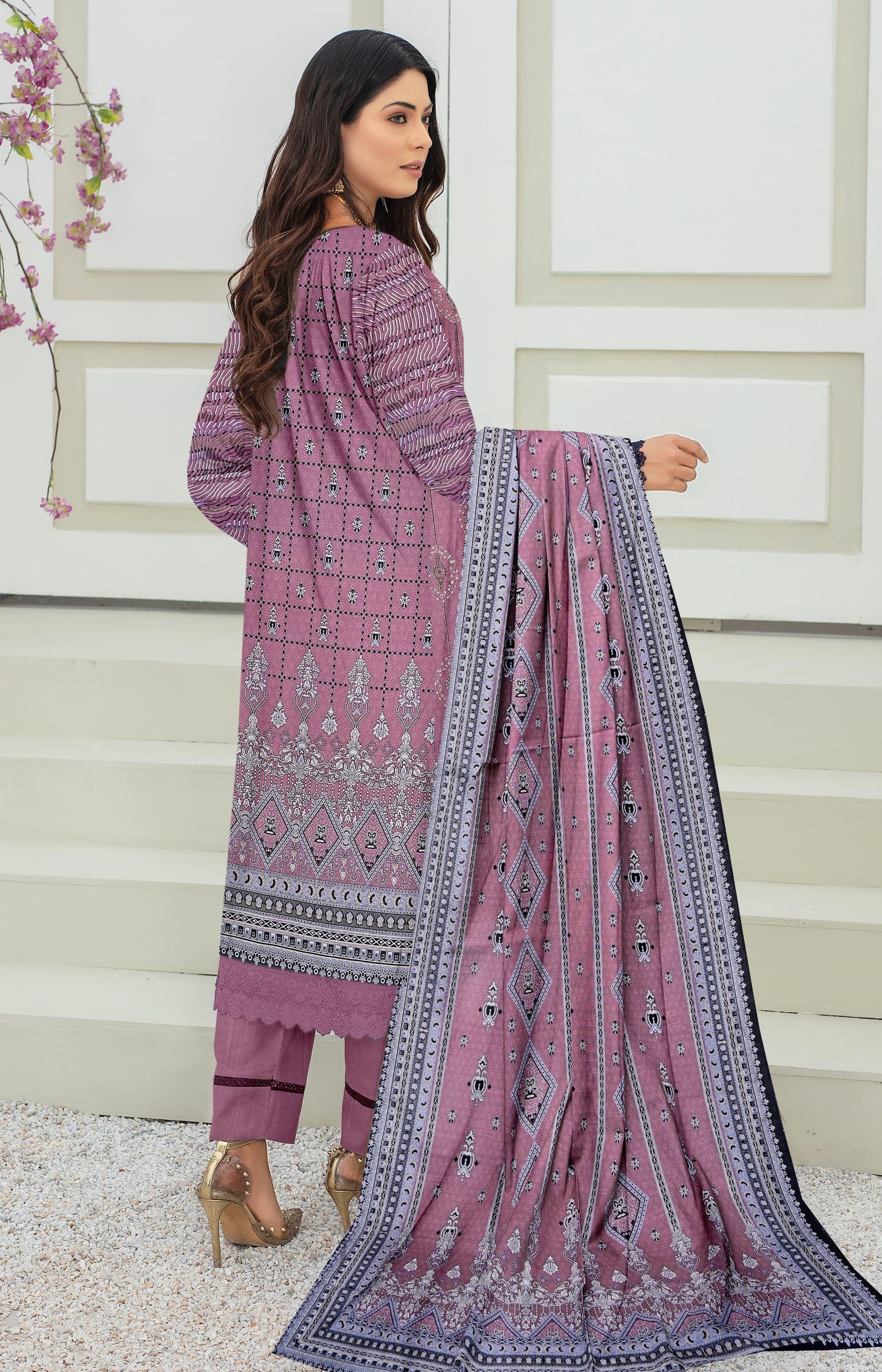 Bint E Hawa  3 piece Khaddar  (unstitched)